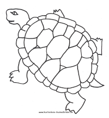 Auf deinem pc abspeichern und dann ausdrucken. Ausmalbild Schildkrote Zum Ausdrucken