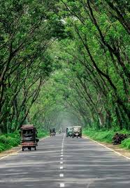 Download hd wallpapers for free on unsplash. Top 15 Islands In Bangladesh You Shouldn T Miss Travelmate Bangladesh Blur Photo Background Light Background Images Best Background Images