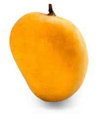 Explore and download free hd png images, and transparent images. Mango Fruit Png Mango Clipart Free Download Free Transparent Png Logos