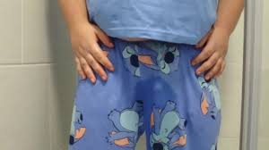 Cachorro orina en pantalones