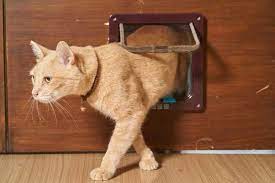 What Does Cat Flap Installation Cost In