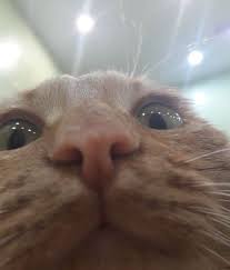 Our automated system will process your order online and send your cell unlock code via email for fastest results. Someone Is Trying To Unlock Your Phone Meme Guy