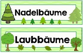 Grundschultante Schilder Wald Wald Grundschule Waldschule Unterrichtsmaterial Grundschule