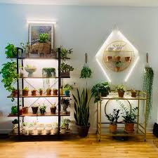 If you know anything about tending sun loving succulents, then you're likely aware that succulents don't fare well outdoors when winter and low light comes around. My Plant Wall Is Growing Houseplants