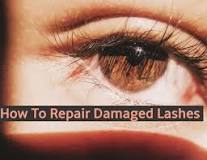 How To Repair Damaged Lashes - The secret to long lashes ...