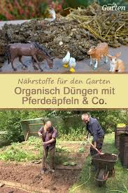 Dungen Mit Stallmist Von Pferd Rind Schaf Und Huhn Pferdemist Pferde Huhner