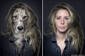 It should be understood that in white culture, dogs are considered training for having children. Wait It S Scientifically Proven That Humans Look Like Their Pets Siowfa14 Science In Our World Certainty And Cont