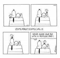 First Appearance January 311972 Peanutsspecials Ps Pnts Peanuts Schulz Snoopy Woodstock Never Share Pad Snoopy Quotes Funny Character Friends Funny