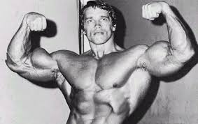 arnold schwarzenegger workout routine workoutinfoguru