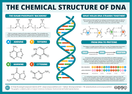 Compound Interest On Twitter In 2020 Dna Activities Dna Project Chemical Structure