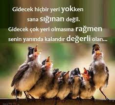 Ah Biricik Pozitif Dusunceler Ozlu Sozler Guzel Soz