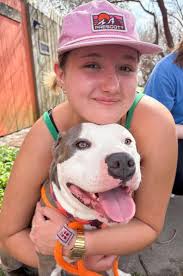 Pet sitting and dog walking services in Carrboro, Chapel Hill, Durham