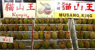 Musang king is the top grade durian in malaysia. Musang King Prices Dropped Over 40 To Rm20 Per Kg This Durian Season World Of Buzz