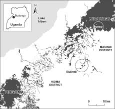 Image result for Neoboutonia melleri