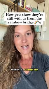 Dog Messages from The Stars