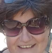 Aldi rose bush blooms after heavy rain