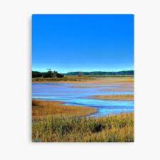 They have that relaxed mix of country, coastal and west. Lowcountry Canvas Prints Redbubble