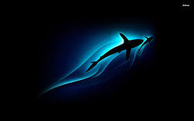 Whale shark eating fish wallpapers. Shark Desktop Wallpaper