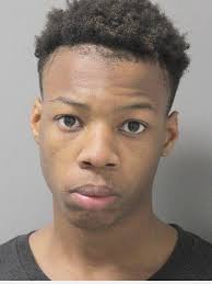 WM man accused of vehicle burglary, theft