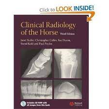 Clinical Radiology Of The Horse Radiology Science Books Clinic