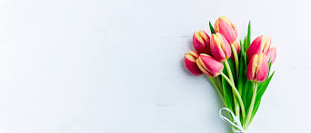 How to make fresh flowers from your garden last indoors by rose edinger | march 1, 2006 it's late spring, early summer. Tulip Care Guide How To Care For Tulips Growing Tips Proflowers