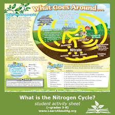 Learn About The Nitrogen Cycle Student Activity Sheet Nitrogen Cycle Nutrient Cycle Environmental Education