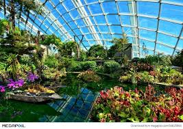 Gardens by the bay singapore ticket at flat 15% off. Flower Dome Gardens By The Bay Singapore Stock Photo 56625860 Megapixl