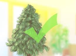 More images for how to keep a real christmas tree alive » How To Keep Your Christmas Tree Fresh Longer 13 Steps