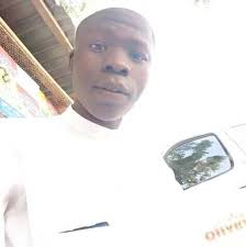 Don ali real musicians