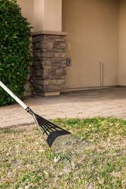 Mow your lawn to half its normal height—this will make the dethatching process easier. Removing Lawn Thatch Hgtv