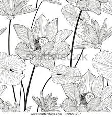 Vector Seamless Pattern With Beautiful Lotus Flower Black And White Floral Line Lotus Art Lotus Flower Art Plant Drawing