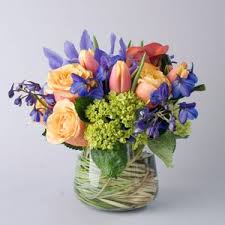 Raised in northern california with a country musician father, wolfe began writing and recording songs during her childhood. Shop Allan Woods Flowers Allan Woods