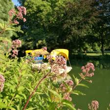 Gefallt 150 Mal 10 Kommentare Tatyana Vosk Planet And Me Auf Instagram Luisenpark In Mannheim Nature Flowers Boo Mit Bildern Mannheim Beautiful Instagram