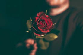 In an aries and cancer emotional compatibility, you both share a deep relationship with each other. Aries Man And Cancer Woman Love Compatibility