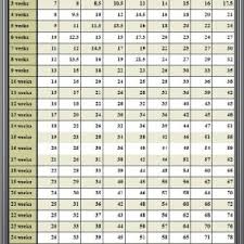 Pomeranian Puppy Size Chart Www Bedowntowndaytona Com