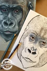 Fantastic collection of worksheets and resources available to download today. Awesome Gorilla Coloring Page With Video Tutorial Kids Activities Blog