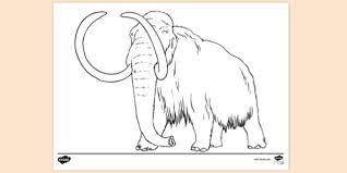 Select from 35919 printable coloring pages of cartoons, animals, nature, bible and many more. Free Woolly Mammoth Colouring Colouring Sheets