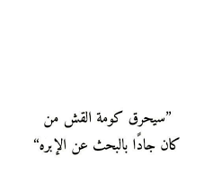 or he ll just buy a magnet strong one i don t know why it s used for hard examples words quotes short instagram quotes quote posters