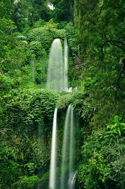 Altri tamatompo 583 views2 year ago. Tour Sindang Gila Waterfall And Tiu Kelep Waterfalls Hiking And Trekking Mount Rinjani Lombok Island Indonesia