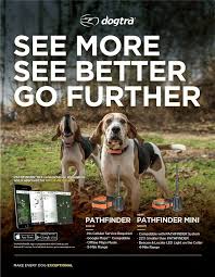 Maybe you would like to learn more about one of these? Dogtra Pathfinder Mini Gps E Collar 2 Free Extra Straps And Flea Comb 647369520116 Ebay