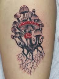 We did not find results for: Mushroom Tattoo For Good Luck Longevity Freedom And Power