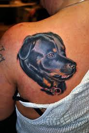 Rottweilers tend to overeat and can gain excess weight if their food intake is not controlled. 100 Realistic Rottweiler Dog Back Tattoo Design Png Jpg 2021