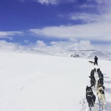 Therese johaug har lurt oss i alle år. Dalsbygda Hashtag On Twitter