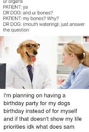 25 Best Memes About Dr Dog Dr Dog Memes