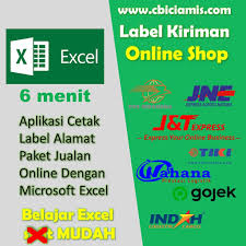 Lakukan dengan mengetikkan alamat penerima, nama, label cd, dll., dalam kolom delivery address atau mengeklik ikon daftar alamat di sisi kanan kolom, pilih nama penerima dan klik insert. Ms Excel 6 Aplikasi Cetak Label Alamat Paket Jualan Online Dengan Microsoft Excel Citra Buana Indonesia Cbi Ciamis