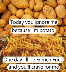 These potatoes quotes are the best examples of famous potatoes quotes on poetrysoup. Here S Quote From Potato 9gag