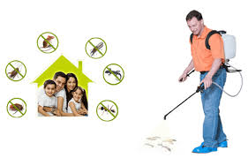 If so, you need to think about. Why Is Regular Commercial Pest Control Important Quora
