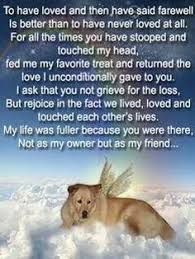 We've compiled many pet loss quotes and prayers for you to use. Forever Missing You Ginger Dutchess Carmie Danzig Chelsea Malibu Fonzie And Ceasar Miss My Dog Dog Quotes Pet Loss Grief
