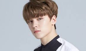 What is leonardo dicaprio's real name? Is Vernon Seventeen Related To Leonardo Dicaprio Who Are His Family Networth Height Salary