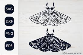 Free Free 189 Drawing Side Butterfly Svg SVG PNG EPS DXF File